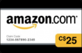 /album/galerie-de-photos-homepage/medium-amzn-c25-png/